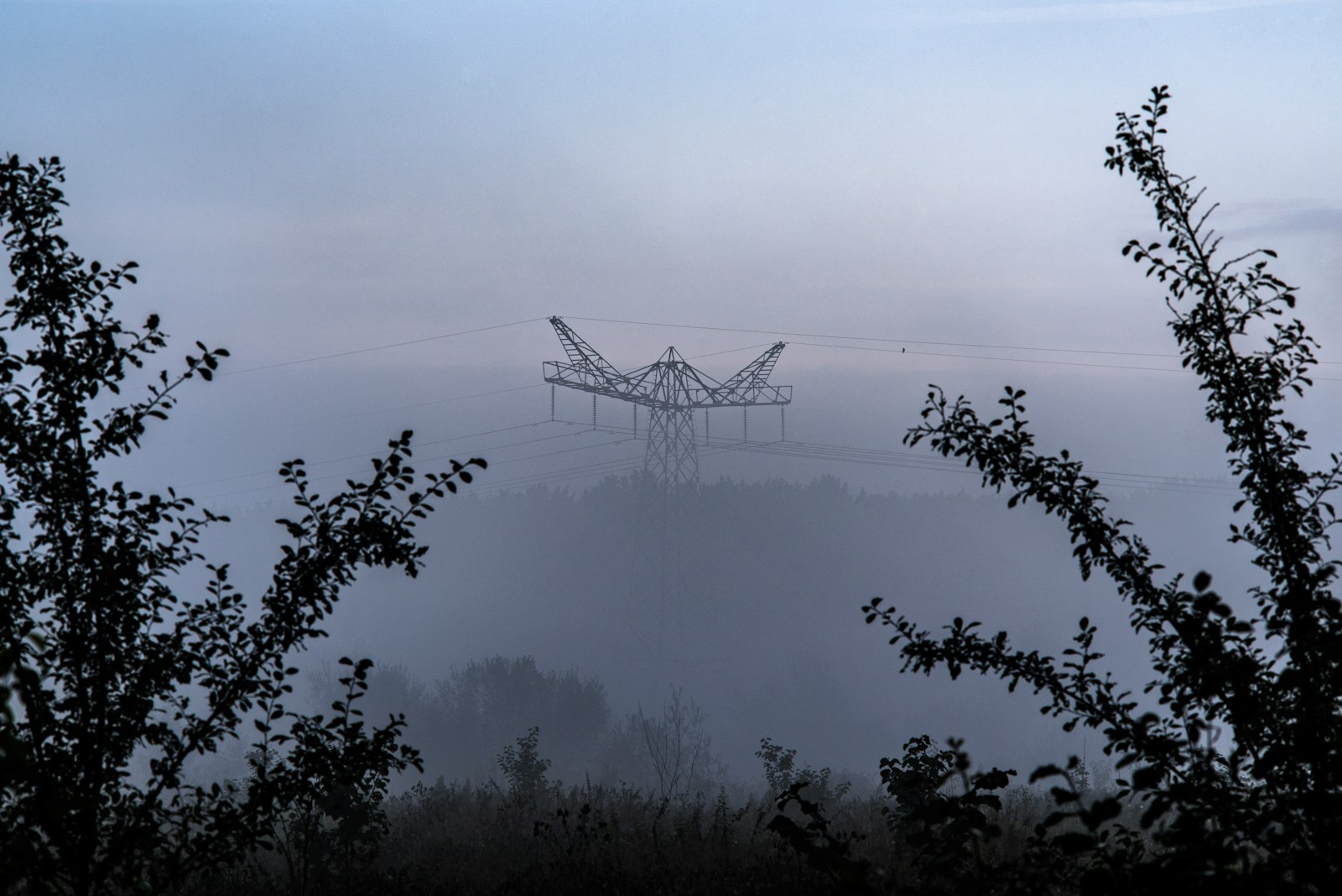 Transmission line corridor through trees in fog